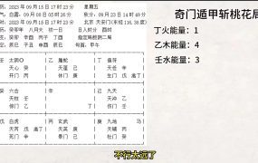 观澜奇门遁甲运筹奇门遁甲法奇门布局视频49集