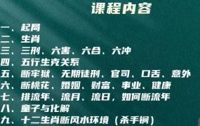 张敬平达摩一掌经视频课12集