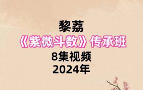 黎荔紫微斗数传承班8集视频