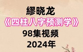 繆晓龙四柱八字预测学98集视频