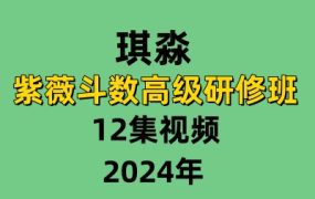 琪淼紫薇斗数高级研修班12集视频