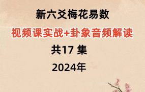 新六爻梅花易数视频课实战+卦象音频解读共17 集