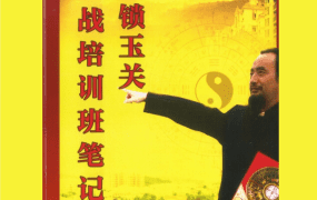陈炳林《金锁玉关实战培训班笔记》笔记PDF84页