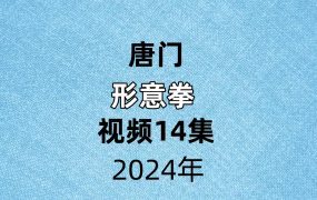 唐门形意拳 ，视频14集