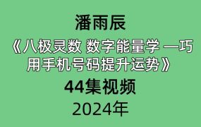 潘雨辰八极灵数 数字能量学 —巧用手机号码提升运势共44集视频