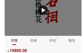 陈春林2023年名相|皇极梅花面授班视频26集