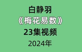 白静羽《梅花易数》23集视频