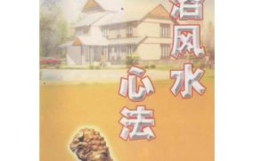 翁玮鸿河洛风水心法 ，PDF318页