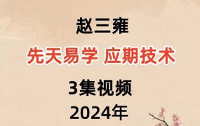 赵三雍先天易学 应期技术3集视频