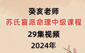 癸亥老师苏氏盲派命理中级课程29集视频