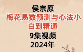 侯宗原 梅花易数预测与心法小白到精通9集视频