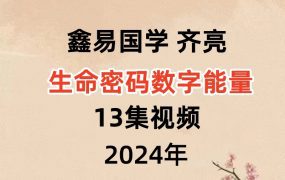 鑫易国学 齐亮生命密码数字能量13集视频