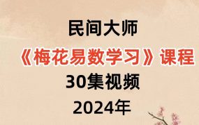 民间大师《梅花易数学习》课程30集视频