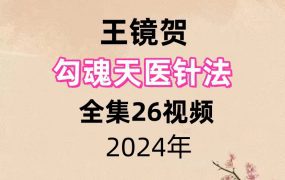 王镜贺勾魂天医针法全集26视频