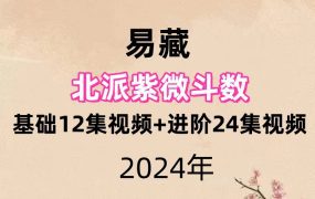 易藏北派紫微斗数，基础12集视频+进阶24集视频