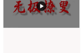 赵三雍，梅花易数最高境界《无极僚叟》视频7集​​​​