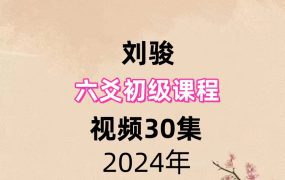 刘骏六爻初级课程，视频30集