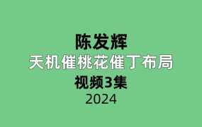 陈发辉天机催桃花催丁布局全3集