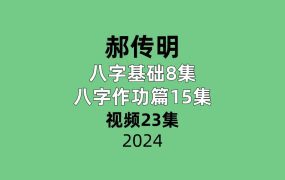 郝传明八字基础8集+八字作功篇15集视频