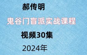 鬼谷门郝传明，盲派实战课程，视频30集