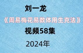 刘一龙《周易梅花易数体用生克法》视频58集。