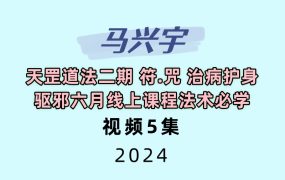 马兴宇天罡道法二期 符.咒 治病护身驱邪六月线上课程法术必学视频+图片