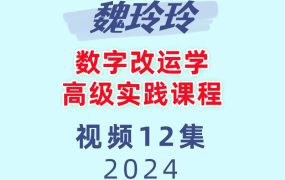 魏玲玲数字改运学 高级实践课程12集视频