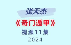 张天杰奇门遁甲11集视频