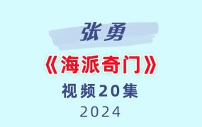 张勇《海派奇门》20集
