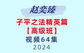 赵奕臻八字子平之法精英篇【高级班】64集视频