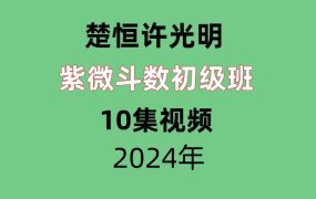 楚恒许光明紫微斗数初级班，10集视频