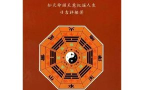 刁吉祥八字风水化解PDF306页
