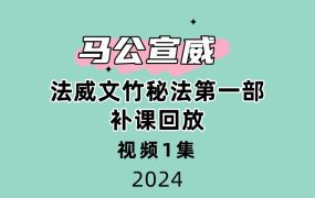 马公宣威 法威文竹秘法第一部298回放视频