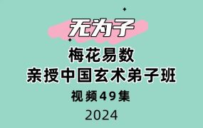 梅花易数_无为子亲授中国玄术弟子班49集视频