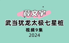 武当犹龙太极七星桩9集视频