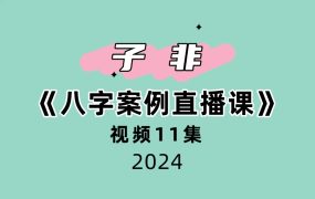 子非《八字案例直播课》11集视频