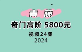 青藤奇门高阶24集视频