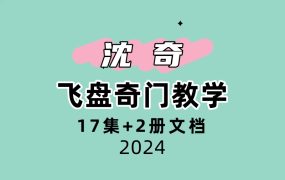 沈奇飞盘17集+2册文档