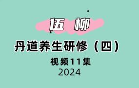 伍柳丹道养生研修（四）12集视频