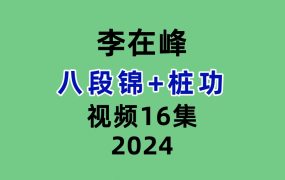 李在峰八段锦+桩功16集视频
