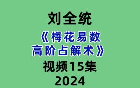 刘全统《梅花易数高阶占解术》15集视频