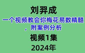 刘羿成，一个视频教会你梅花易数精髓，附案例分析，视频1集