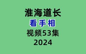 淮海道长看手相53集视频