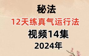 12天练真气运行法 ，视频14集