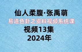张禹萌易道色卦之资料视频系统课，视频13集