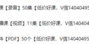 龙眠山人紫薇斗数完整版，视频+文档课件