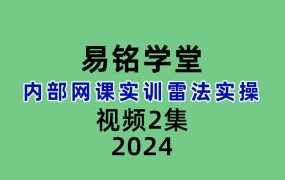 易铭学堂内部网课实训雷法实操2集视频