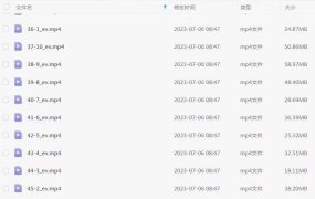 古禄命八字系统课程46节视频