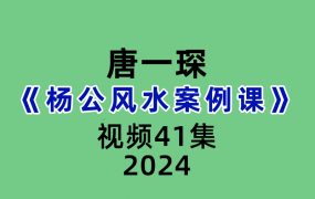 唐一琛杨公风水案例课41集视频