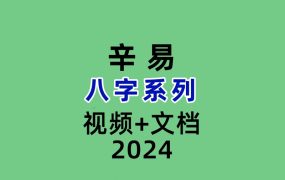 辛易八字系列